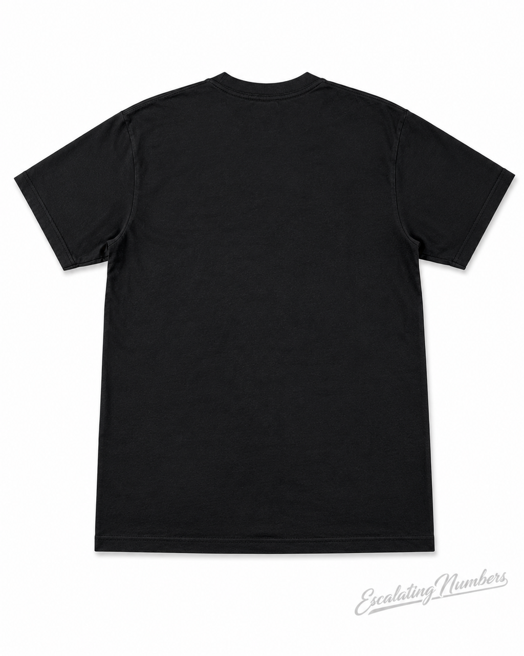 Graphic T-Shirts