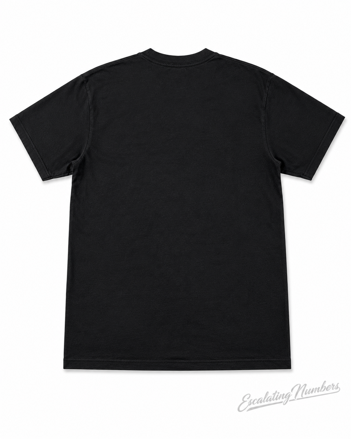 Graphic T-Shirts